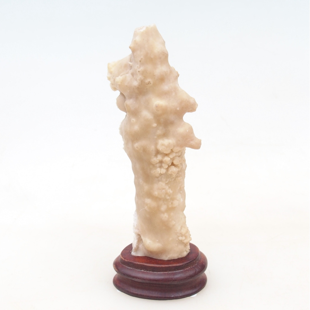 Suiseki - Kő DAI-val (fa alapon)