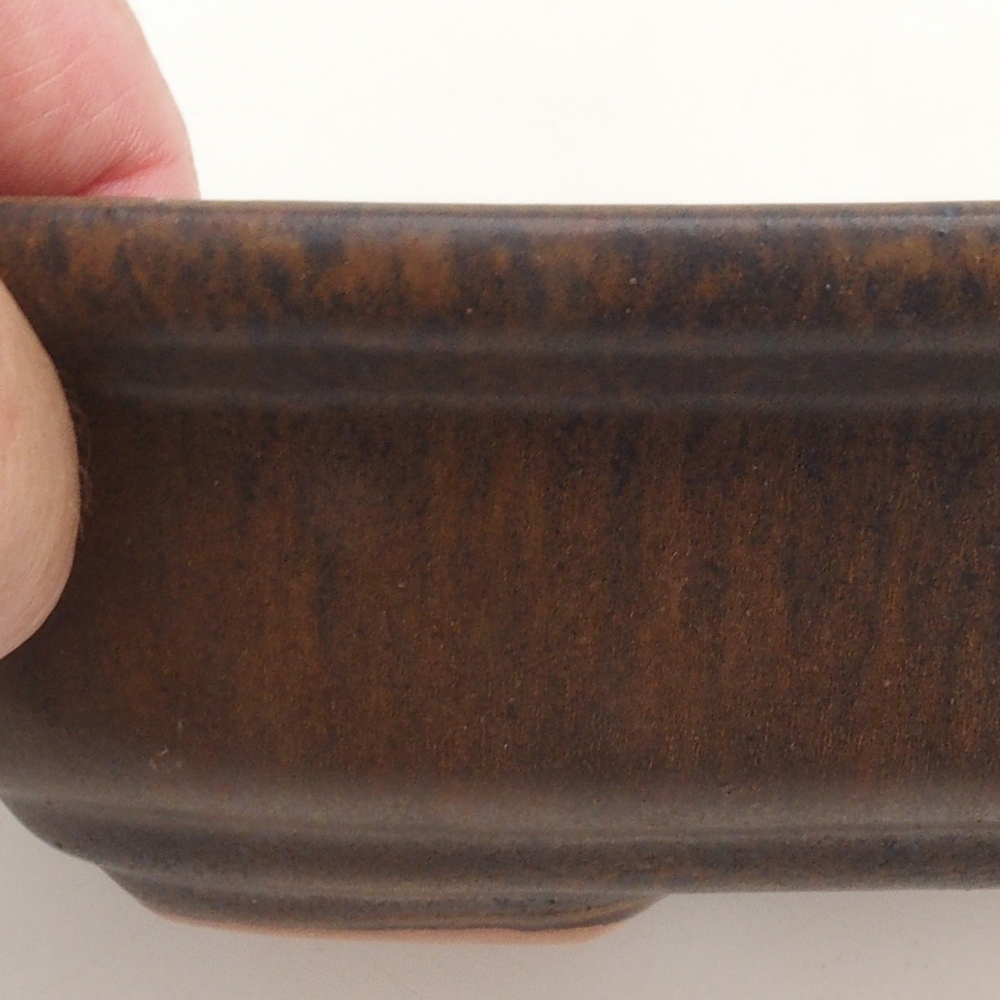 Bonsai tál H25 - 23 x 17 x 5,5 cm. - barna