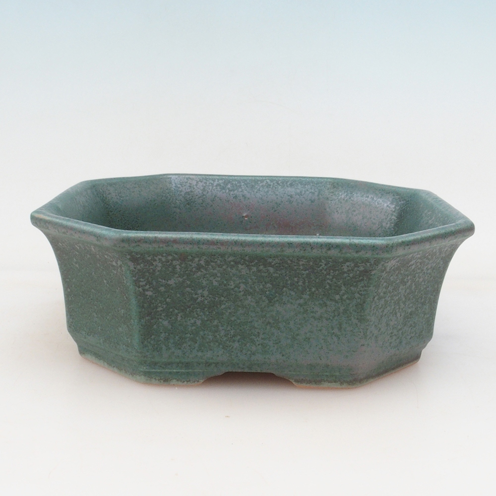 Bonsai tál + csészealj H14 - zöld