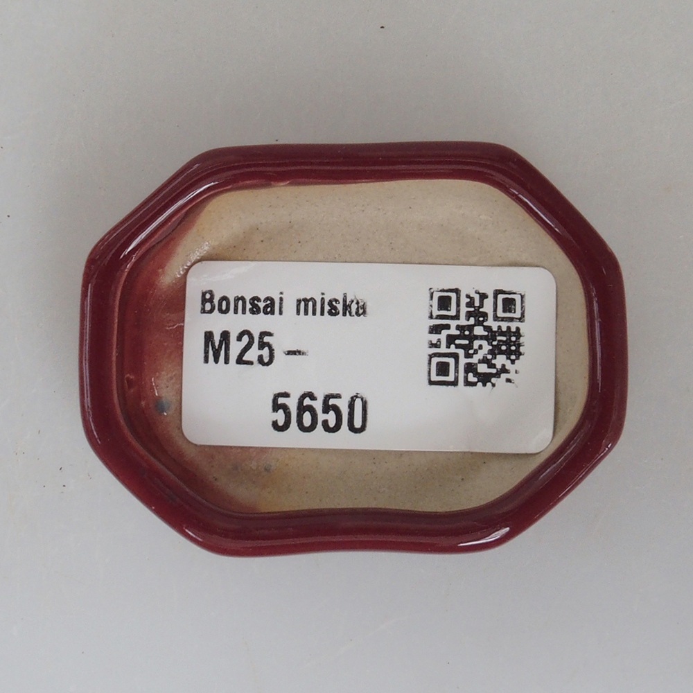Mini bonsai tál 5,5 x 4 x 1,5 cm, bordó színben