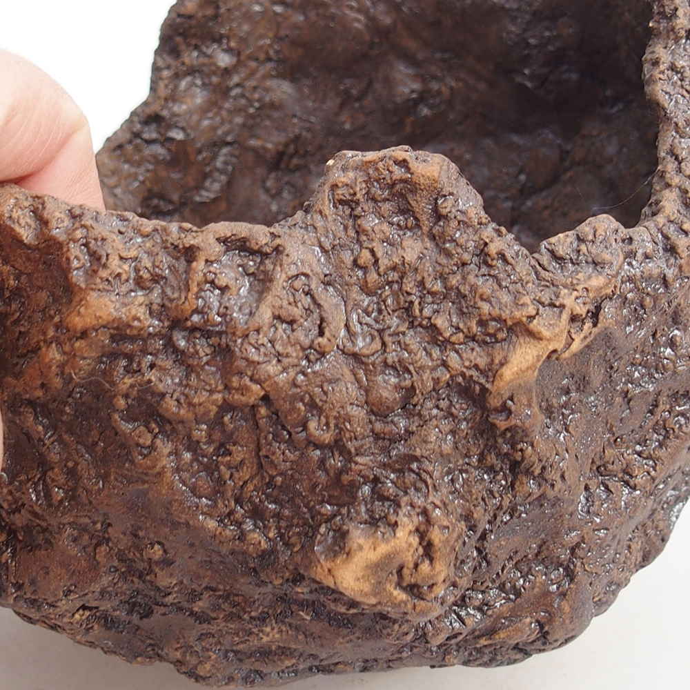 Kerámia kagyló 19 x 15 x 14 cm , barna színű