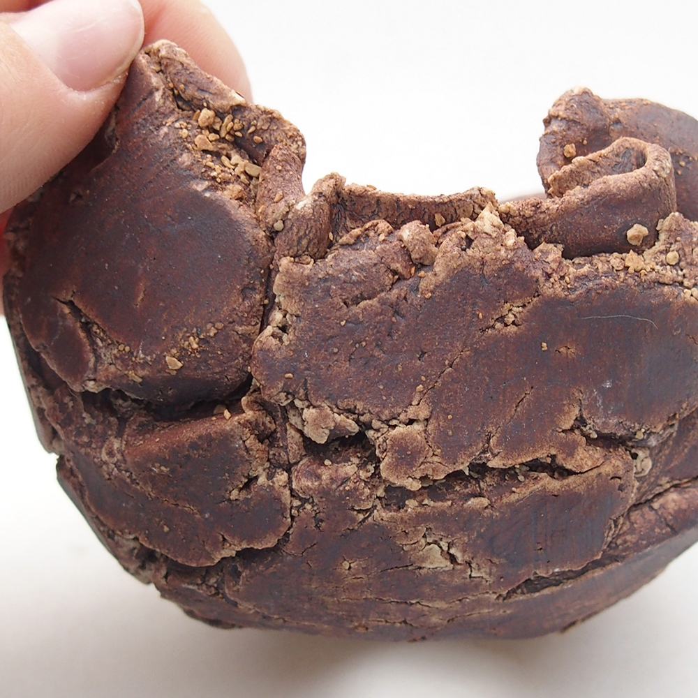 Kerámia kagyló 9 x 8,5 x 6,5 cm , színe barna