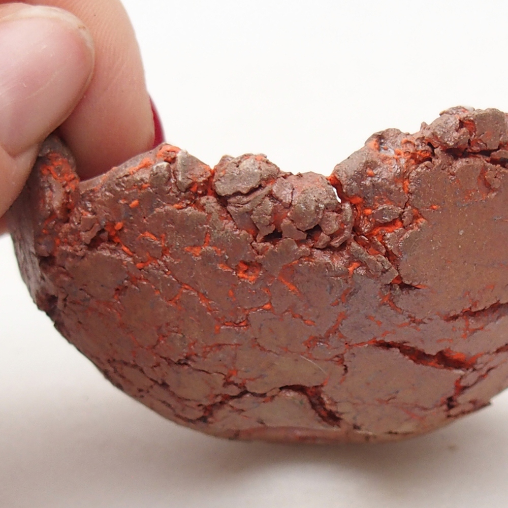 Kerámia kagyló 7,5 x 6,5 x 3,5 cm , narancssárga színű