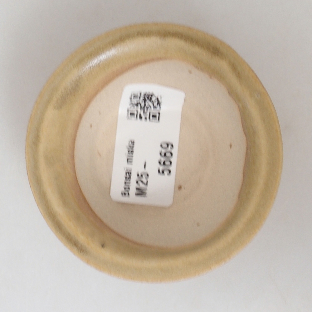 Mini bonsai tál 7 x 7 x 2,5 cm, barna