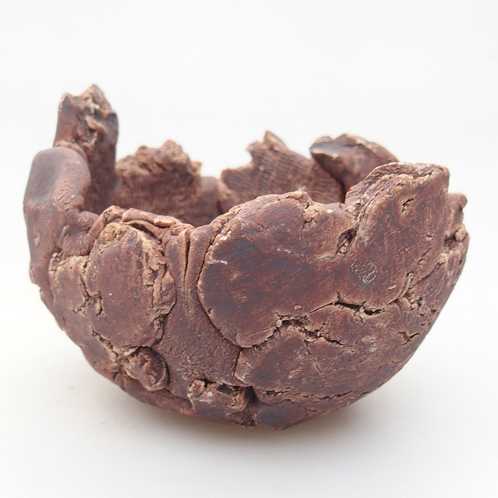 Kerámia kagyló 9,5 x 9 x 7 cm , barna színű