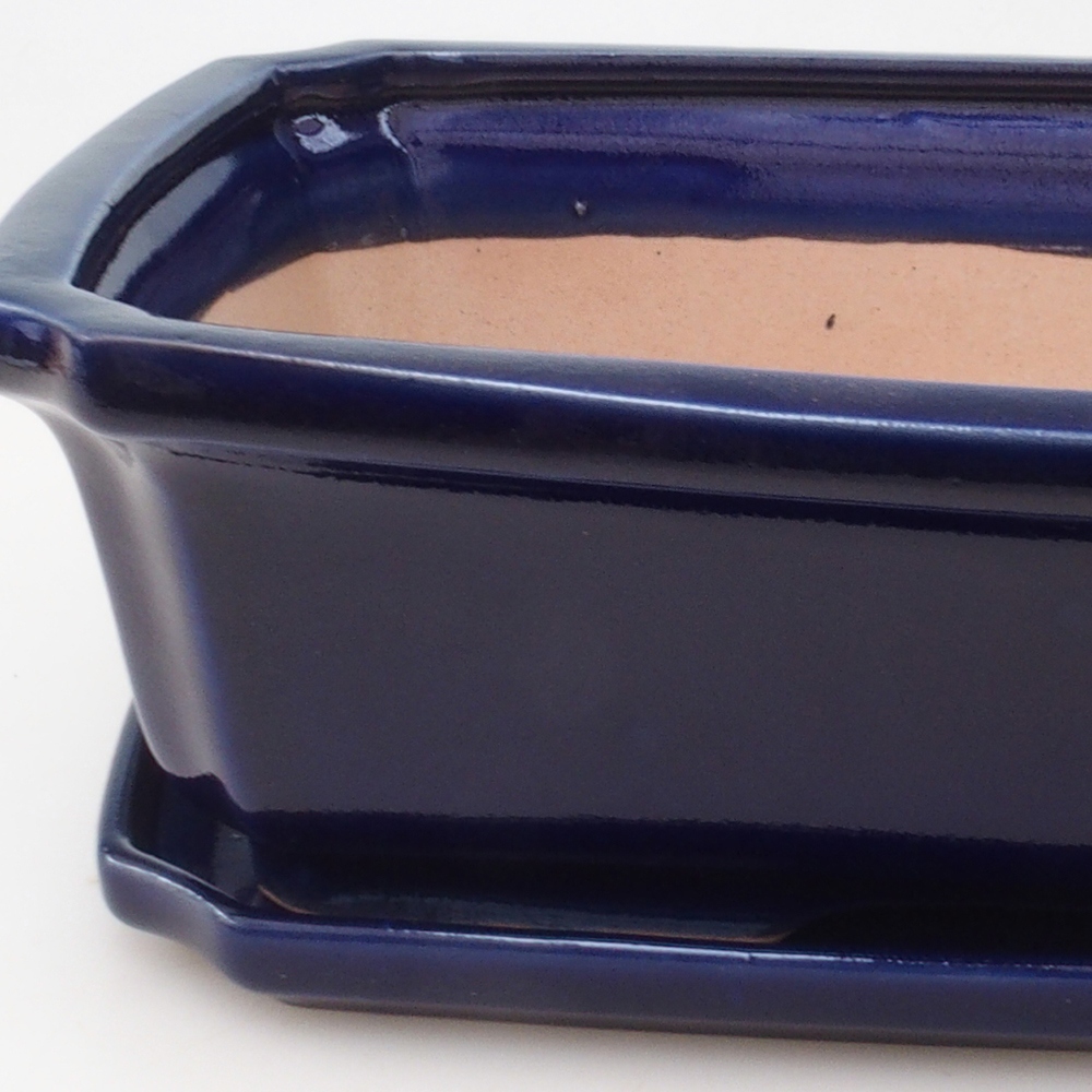 Bonsai tál + csészealj H07 - 30 x 20,5 x 8 cm. - kék