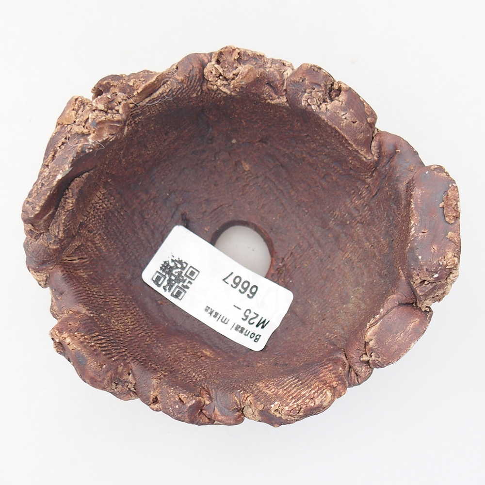 Kerámia kagyló 9 x 9 x 6 cm , színe barna