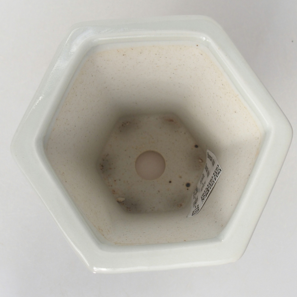 kerámia bonsai tál 10 x 9 x 9 cm, fehér színben