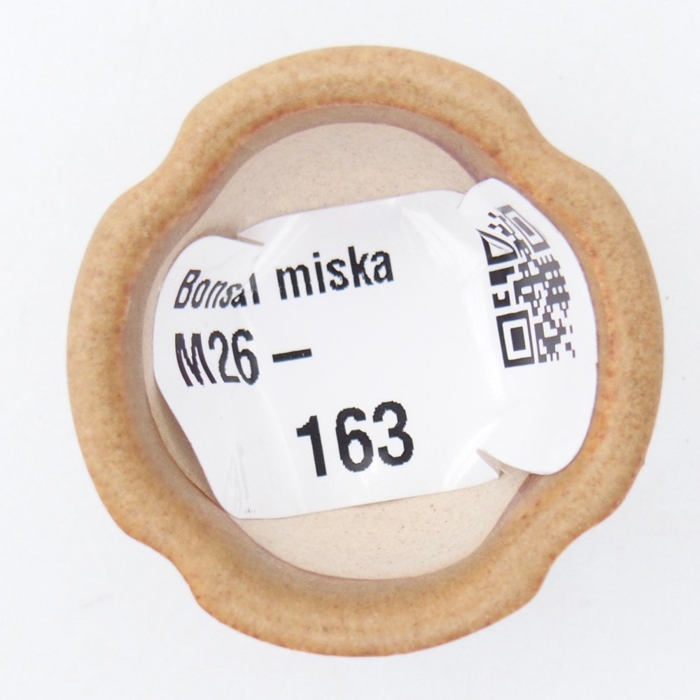 Mini bonsai tál 3,5 x 3,5 x 2,5 cm, barna