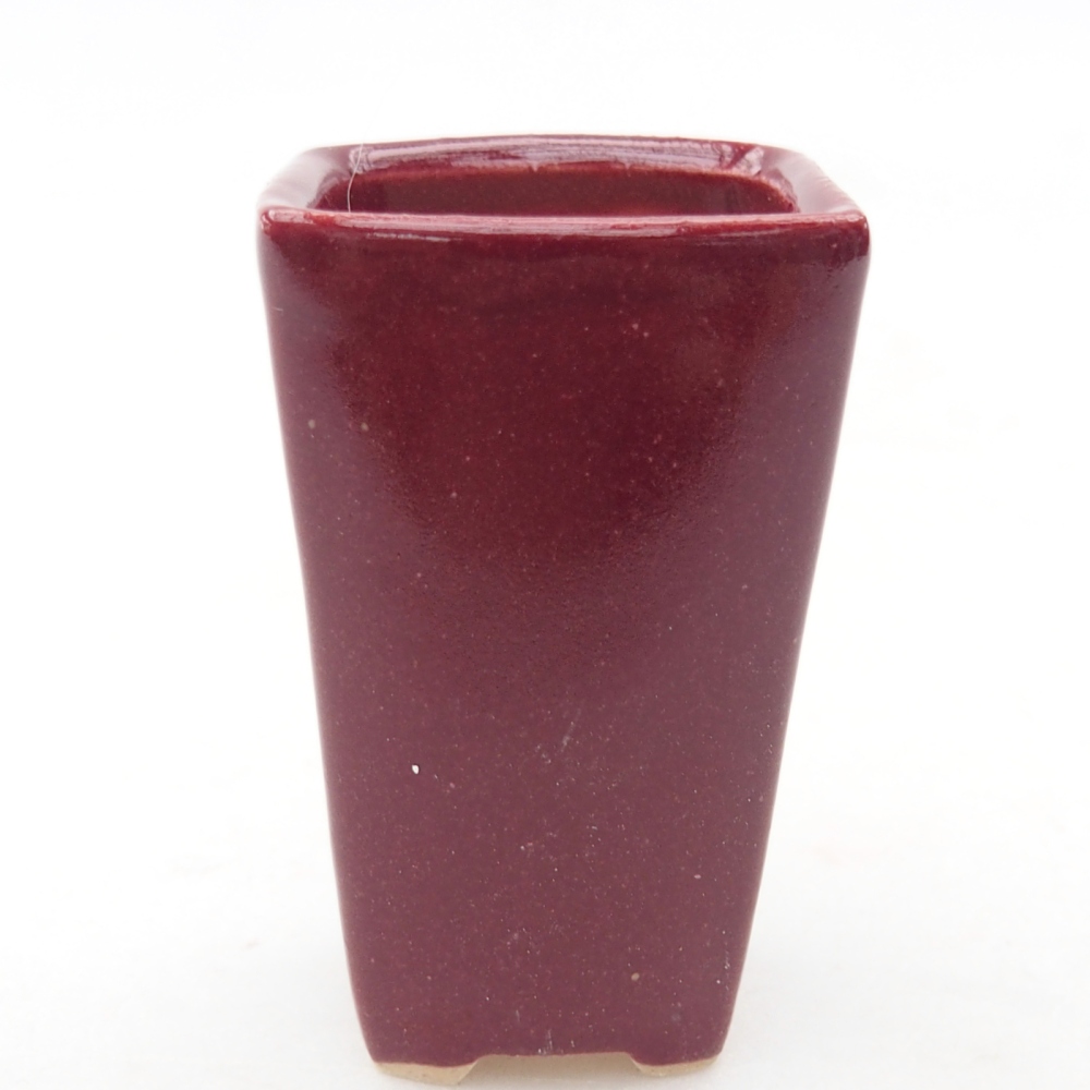 Mini bonsai tál 3,5 x 3 x 5,5 cm, bordó színben