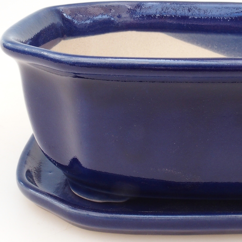 Bonsai tál + csészealj H32 - kék