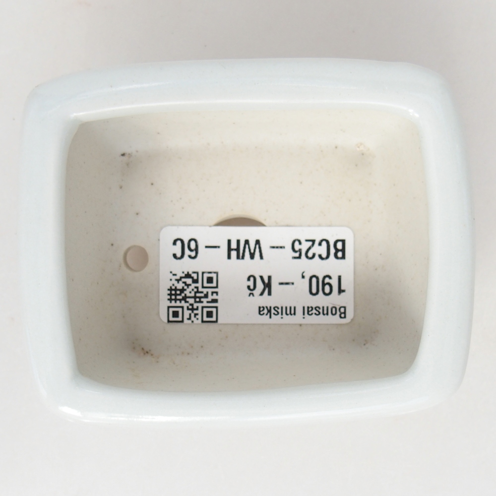 Mini bonsai tál 8 x 6,5 x 3,5 cm, fehér