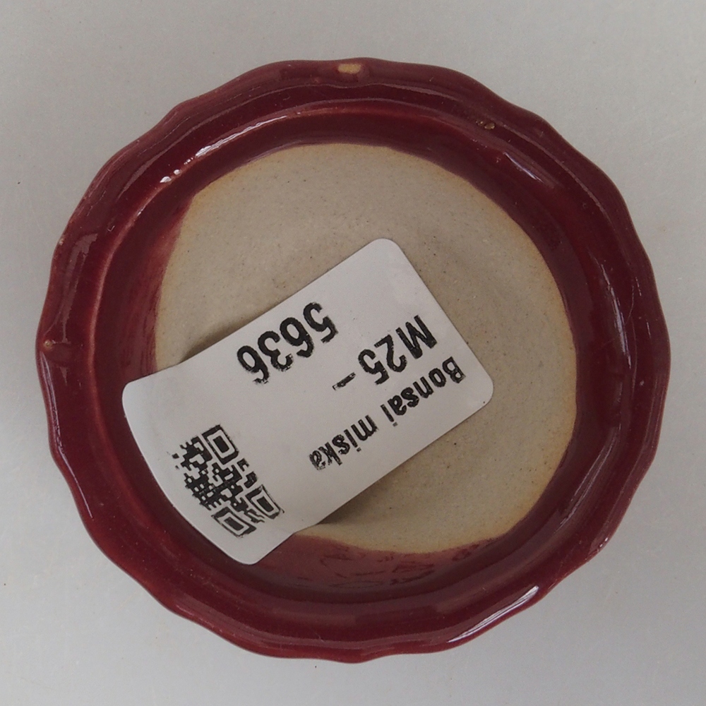 Mini bonsai tál 5 x 5 x 2,5 cm, bordó színben