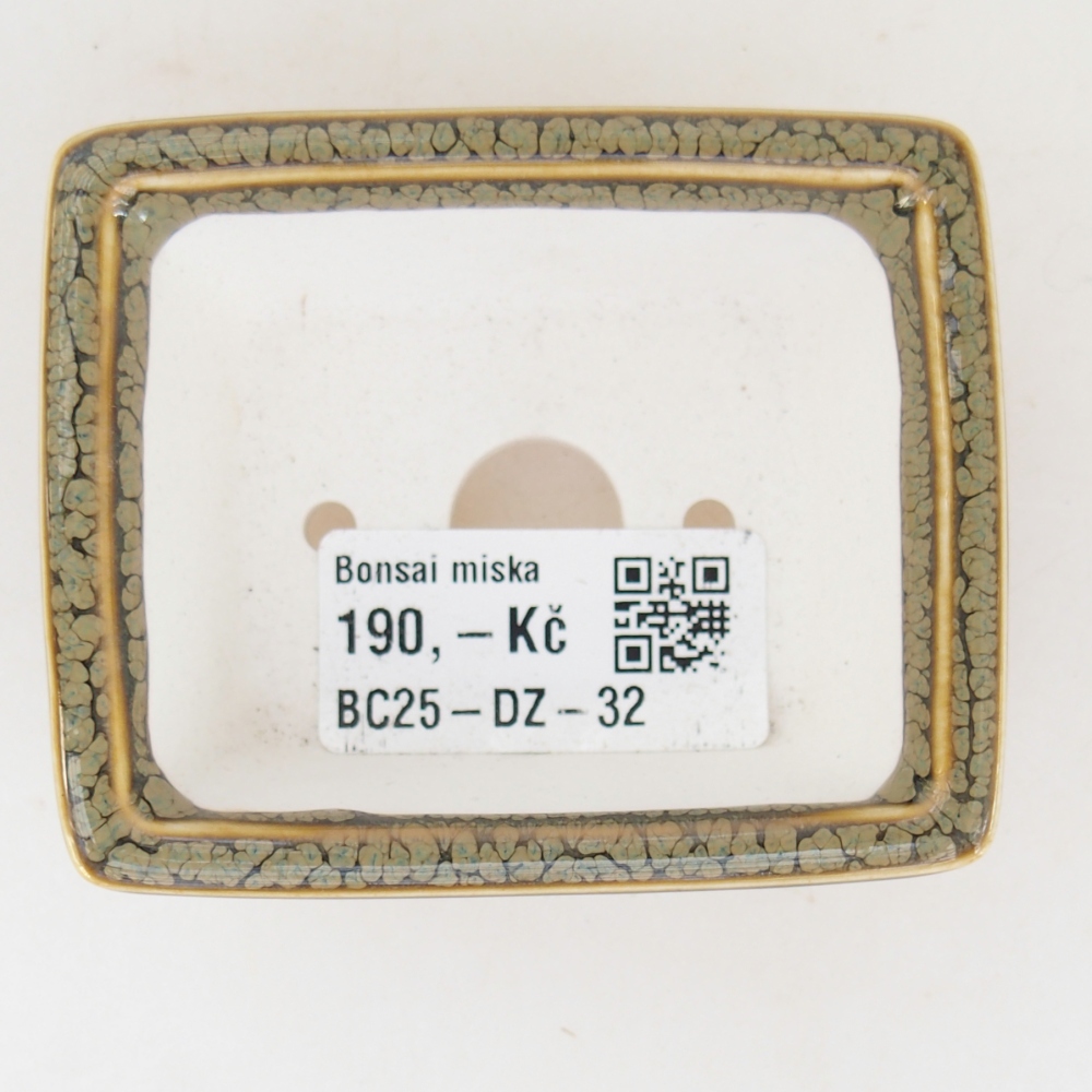 Mini bonsai tál 7,5 x 6 x 3 cm, zöld