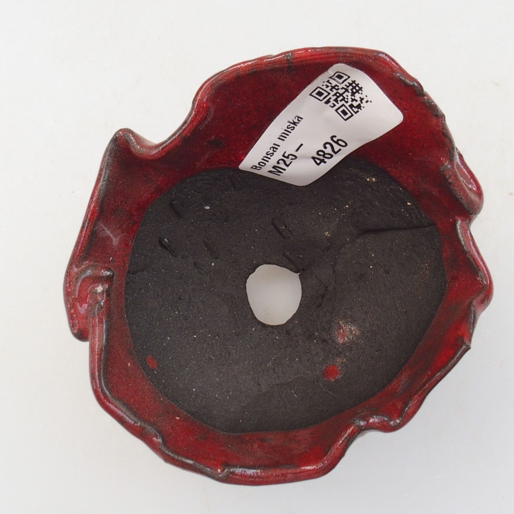 Kerámia kagyló 8,5 x 8 x 6 cm , piros színű