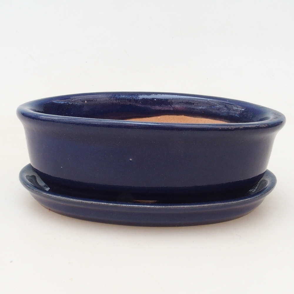 Bonsai tál + csészealj H04 - kék