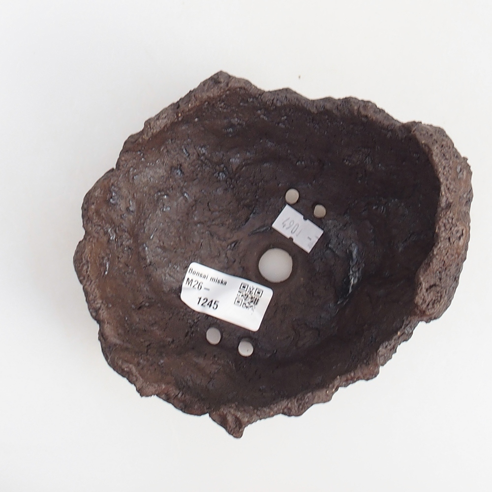 Kerámia kagyló 14 x 13 x 13 cm , színe barna