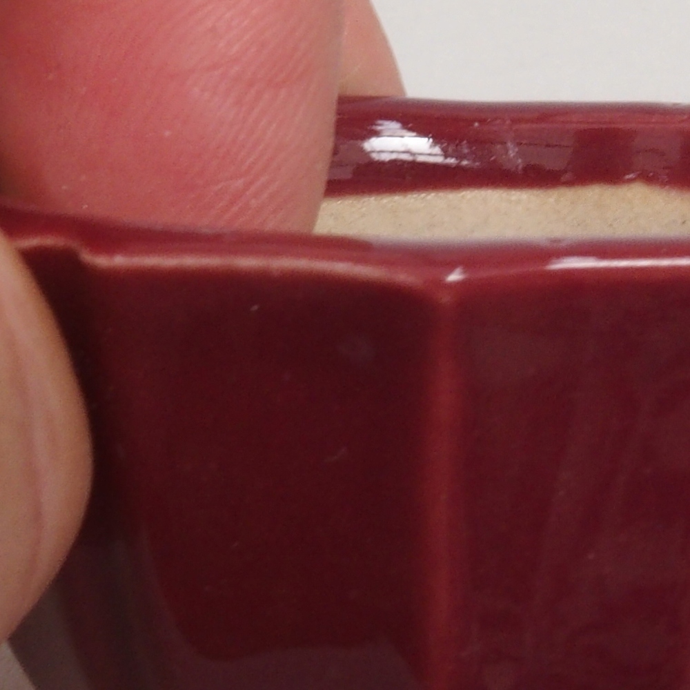 Mini bonsai tál 5 x 5 x 3 cm, bordó színű