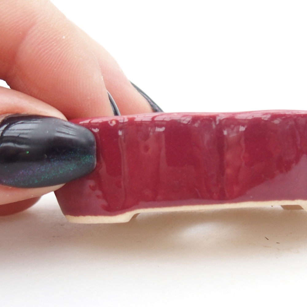 Mini bonsai tál 5,5 x 3,5 x 1,5 cm, bordó színben