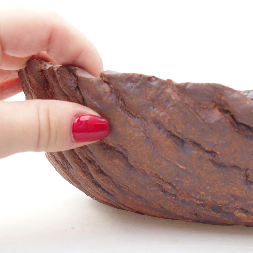 Kerámia kagyló 23 x 23 x 7 cm , színe barna