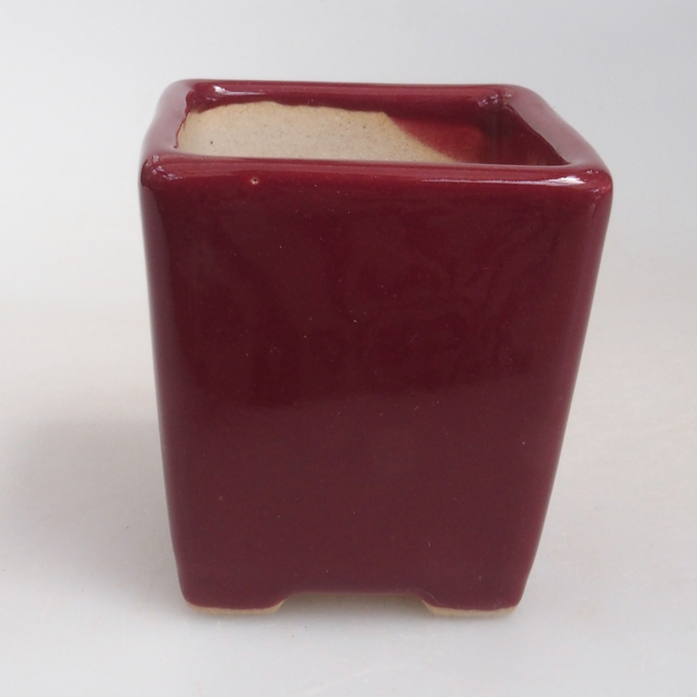 Mini bonsai tál 4,5 x 4,5 x 4,5 cm, bordó színben