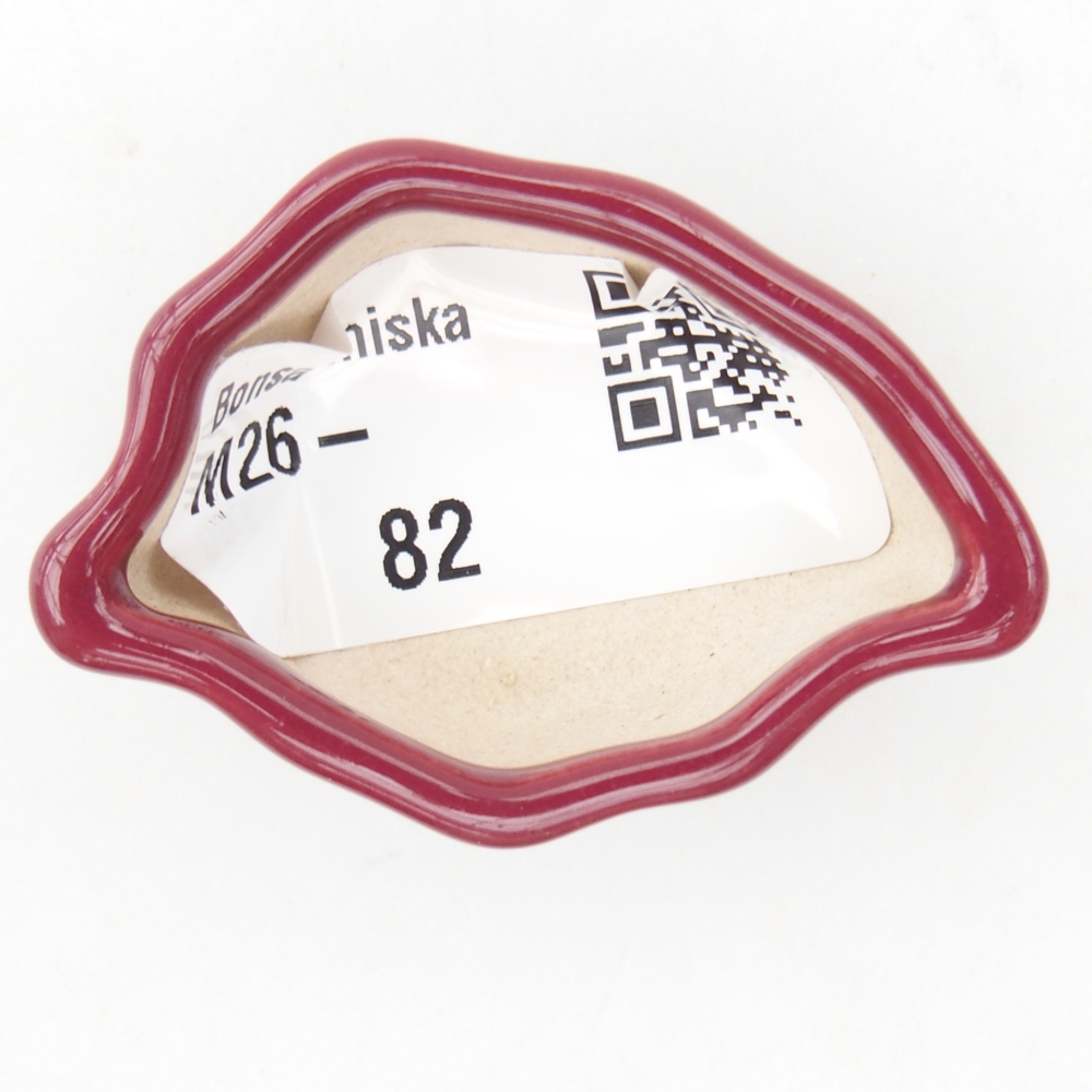 Mini bonsai tál 5 x 3 x 2 cm, bordó színű