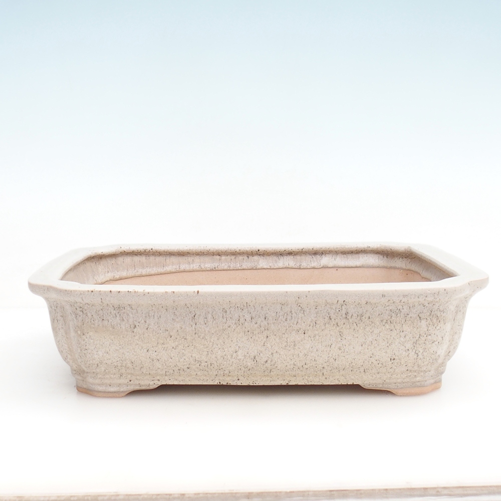 Bonsai tál + csészealj H07 - 30 x 20,5 x 8 cm.