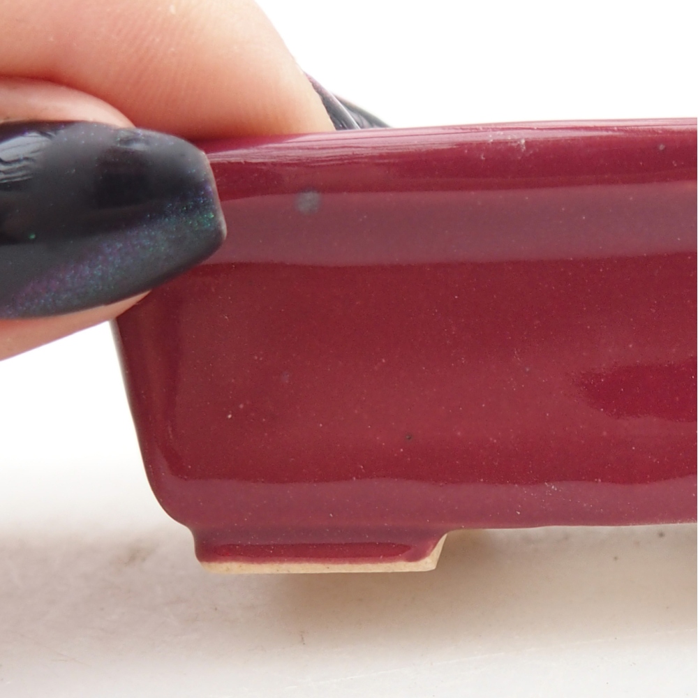 Mini bonsai tál 6,5 x 4 x 2,5 cm, bordó színű