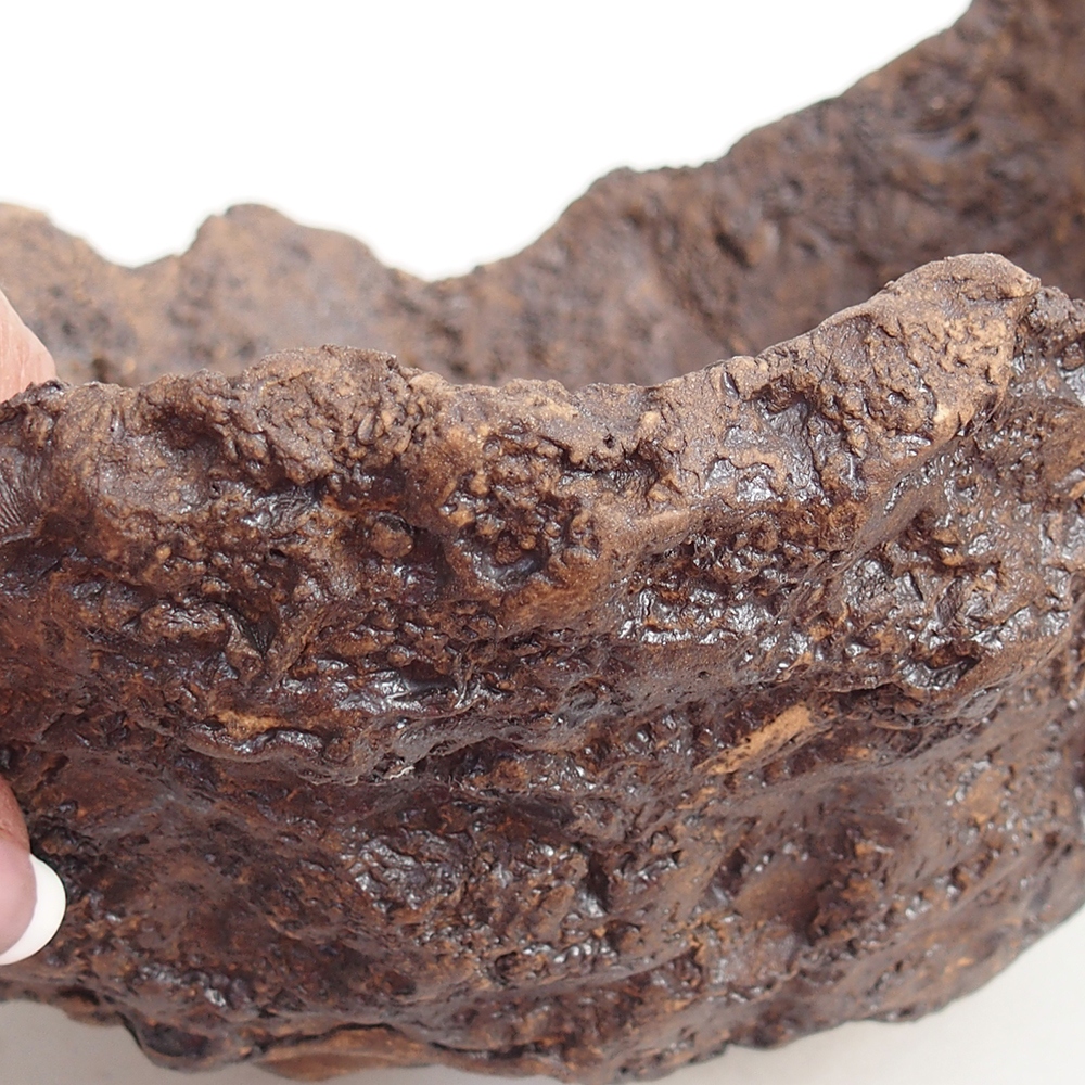 Kerámia kagyló 19 x 15 x 14 cm , barna színű