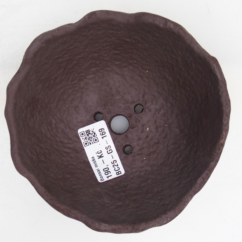 Kerámia kagyló 13 x 13 x 5,5 cm , színe barna