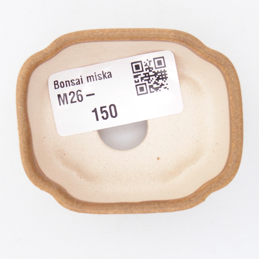 Mini bonsai tál 6 x 5 x 3 cm, barna