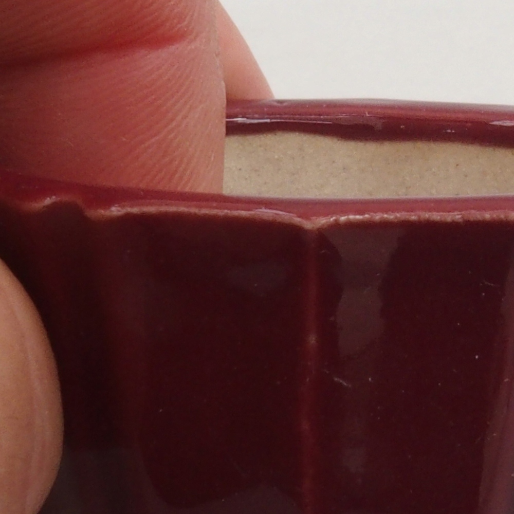 Mini bonsai tál 5 x 5 x 3 cm, bordó színű