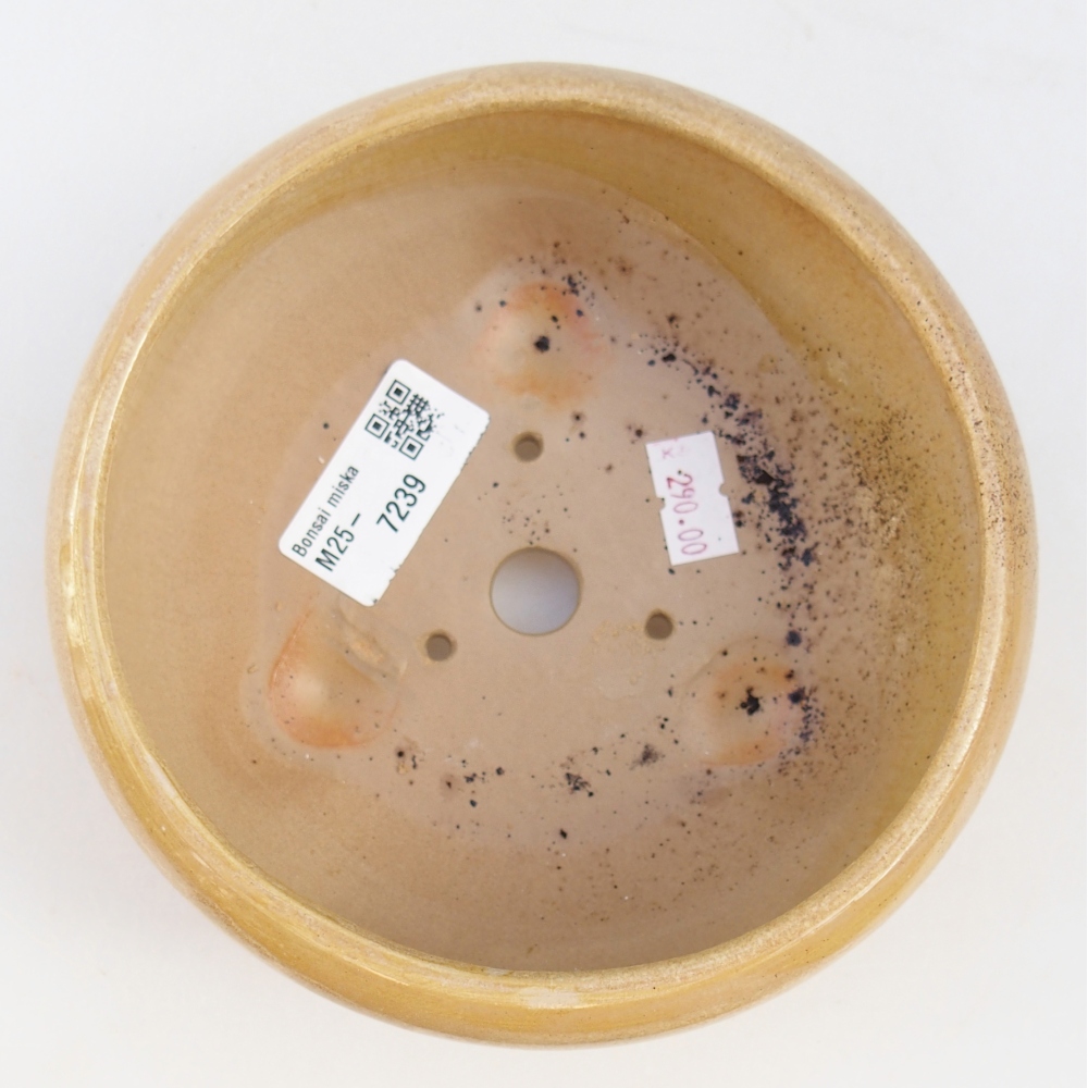 kerámia bonsai tál 14,5 x 14,5 x 7 cm, bézs színű