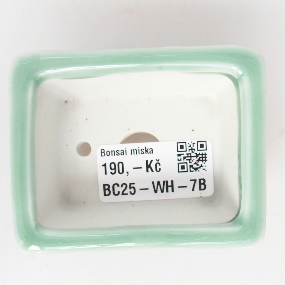 Mini bonsai tál 8 x 6 x 3 cm, zöld