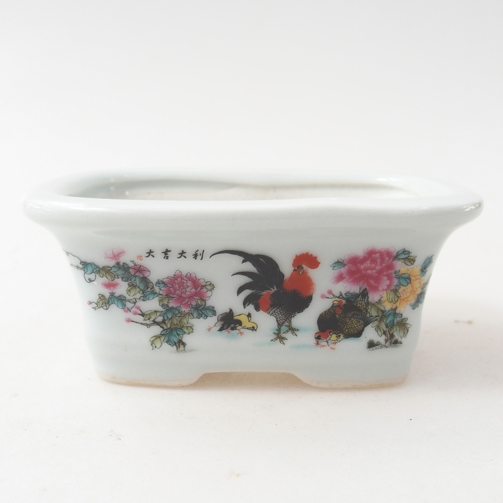 Mini bonsai tál 10 x 7,5 x 4 cm, fehér színben