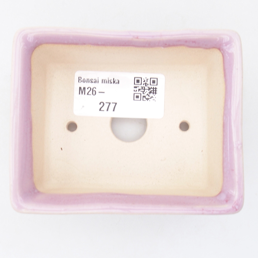 Mini bonsai tál 9 x 7 x 3,5 cm, rózsaszínű