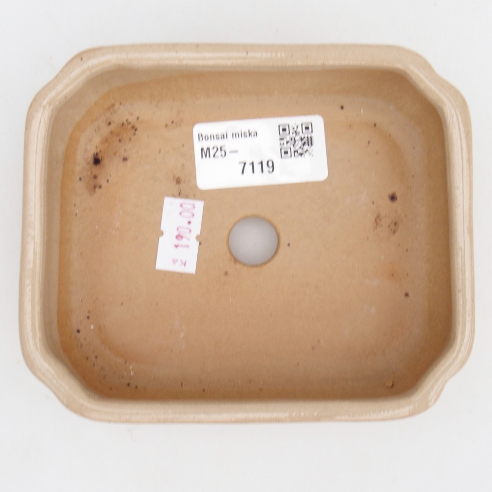 kerámia bonsai tál 12 x 10 x 4 cm, bézs színben