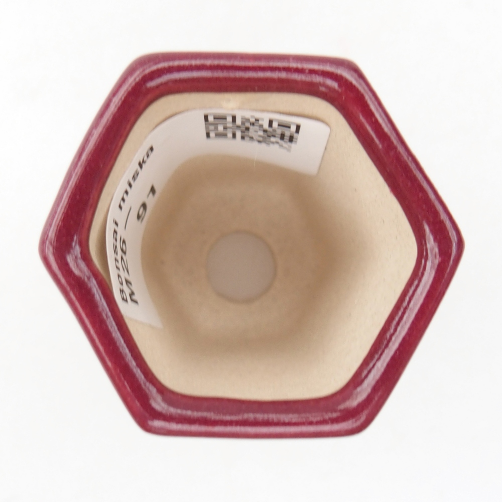 Mini bonsai tál 4 x 3,5 x 5,5 cm, bordó színű