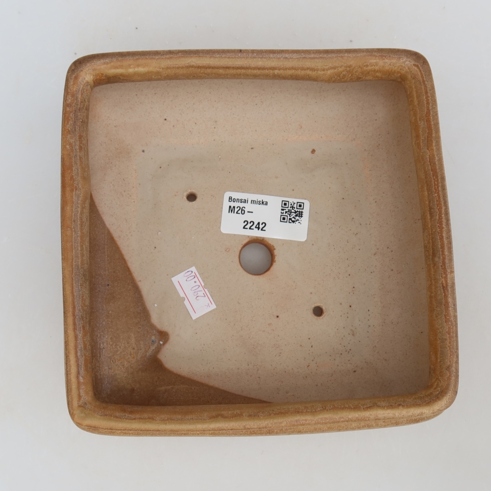 Kerámia bonsai-tál, 15,5 x 15,5 x 6 cm, bézs színű