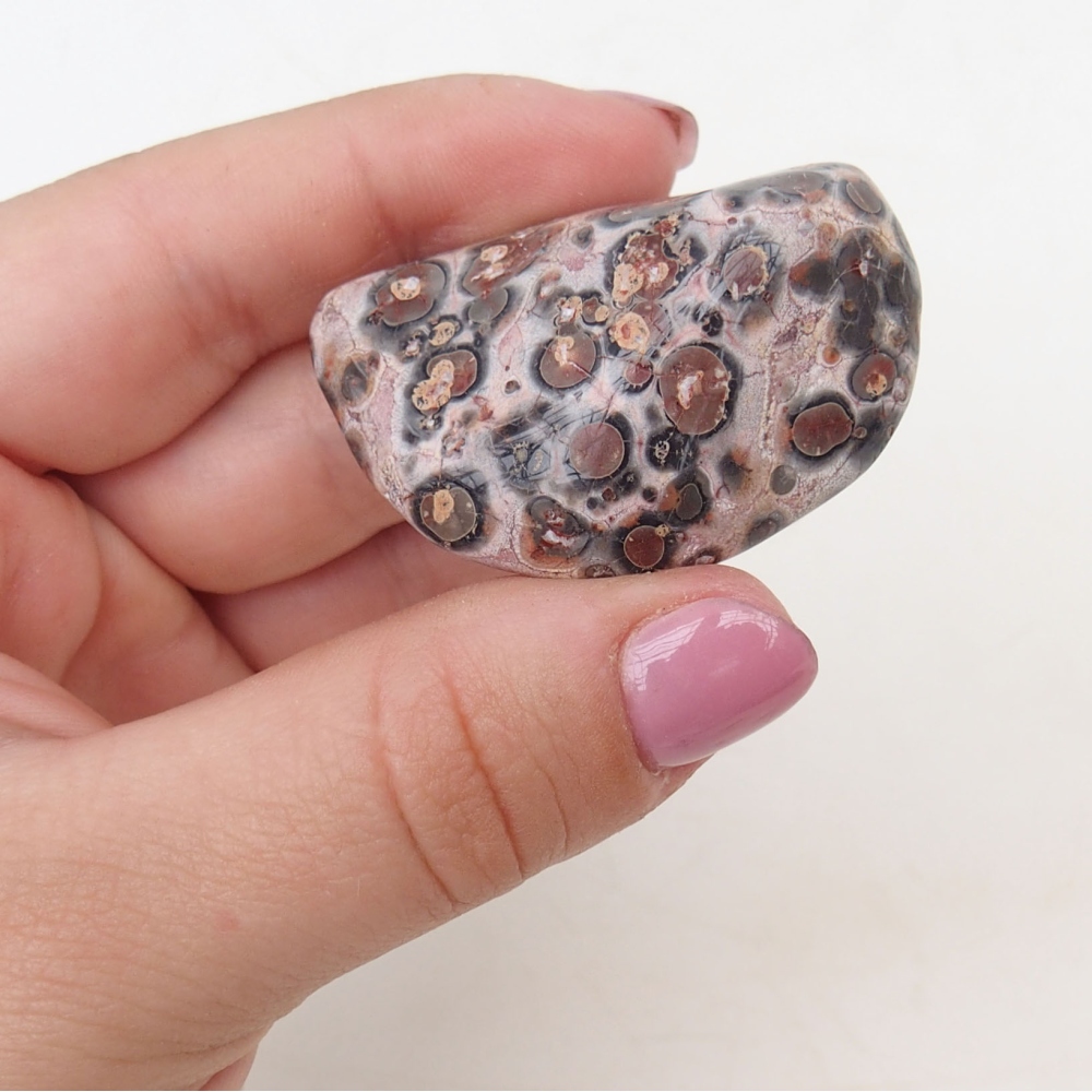 Suiseki - Kő DAI-val (fa alapon)