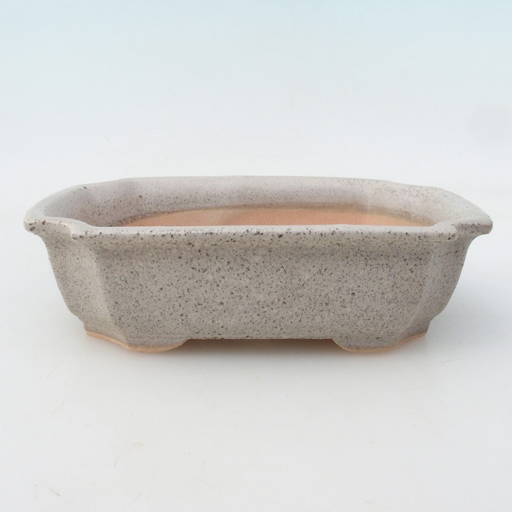 Bonsai tál H17 - 15 x 10 x 4 cm.
