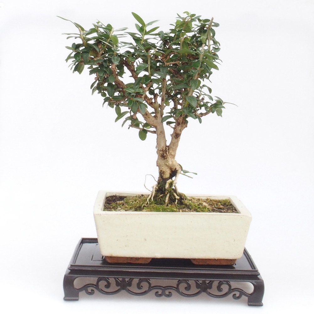 Bonsai asztal műanyag téglalap 22 x 14 x 4 cm, fekete