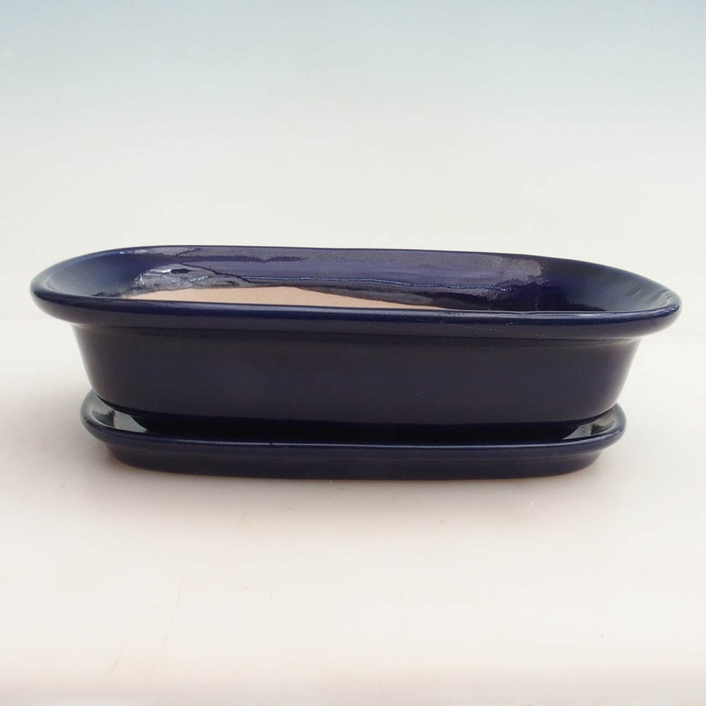 Bonsai tál + csészealj H25 - 23 x 17 x 5,5 cm. - kék