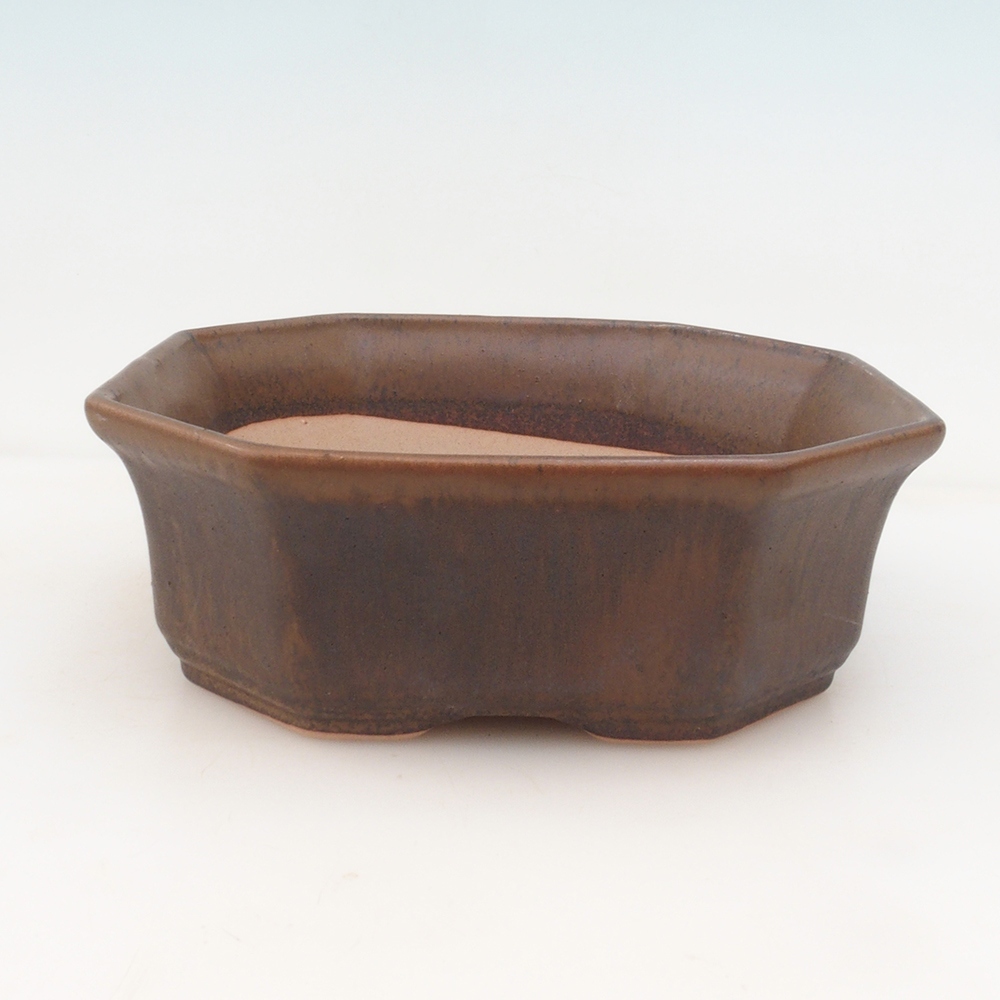 Bonsai tál H14 - 17,5 x 17,5 x 6 - barna