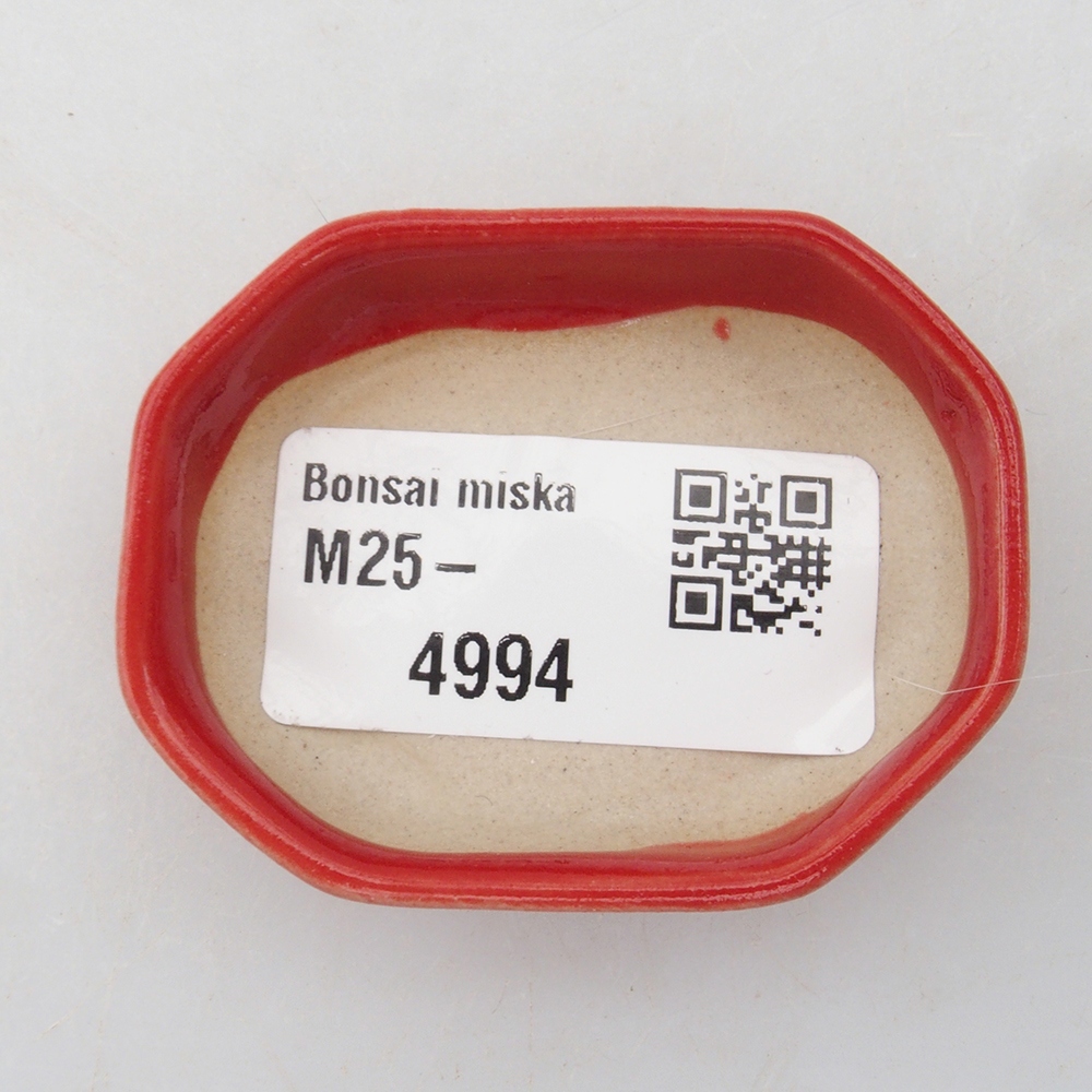 Mini bonsai tál 5,5 x 4 x 1,5 cm, piros színben