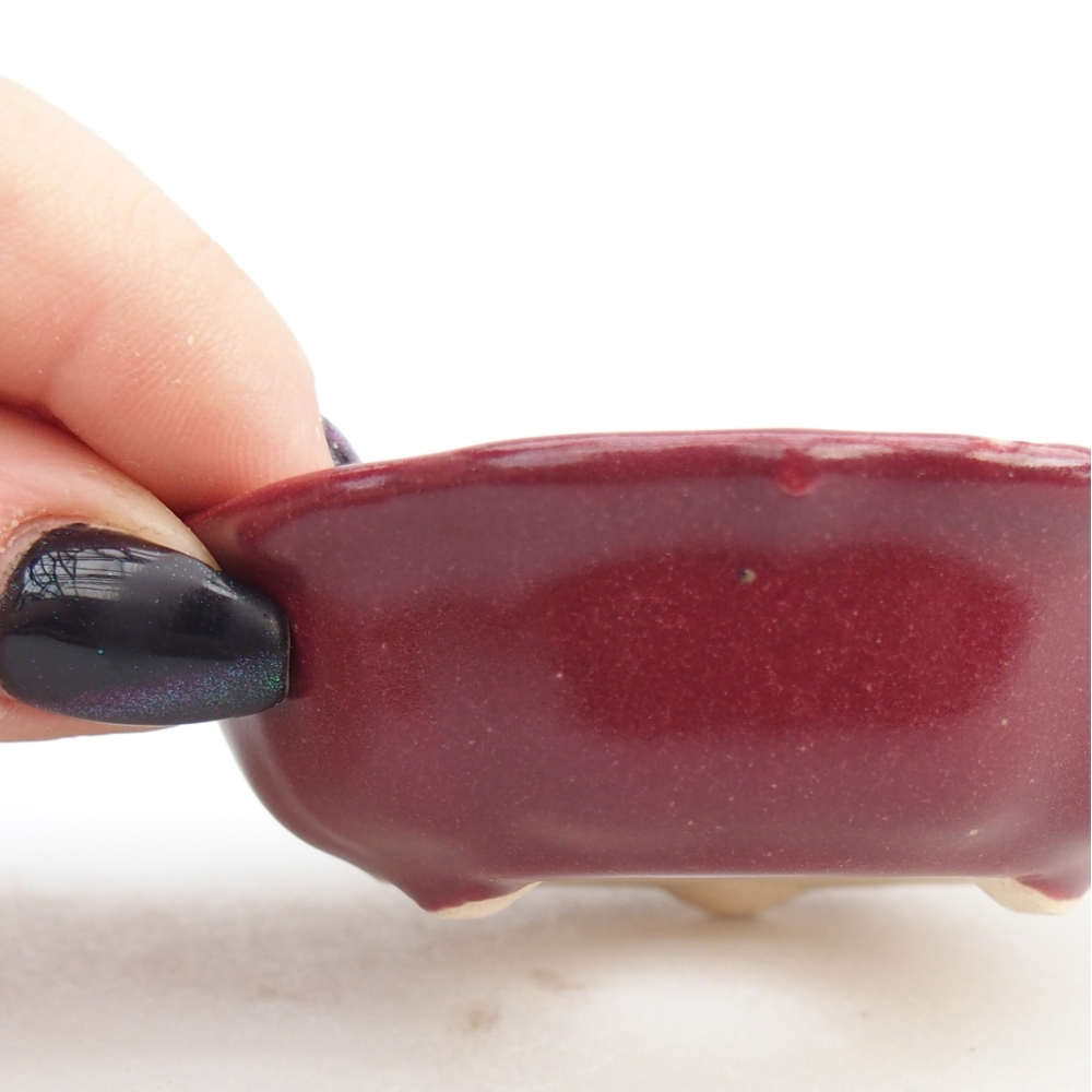 Mini bonsai tál 7,5 x 7,5 x 2,5 cm, bordó színű