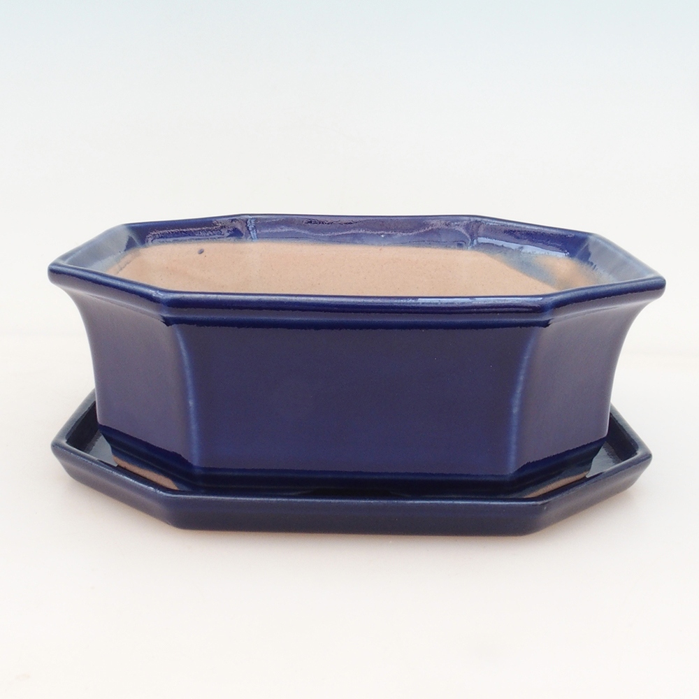 Bonsai tál + csészealj H14 - kék