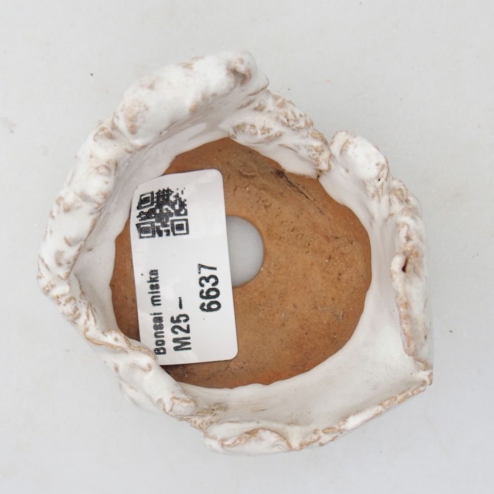 Kerámia kagyló 7 x 6,5 x 5 cm , fehér színű