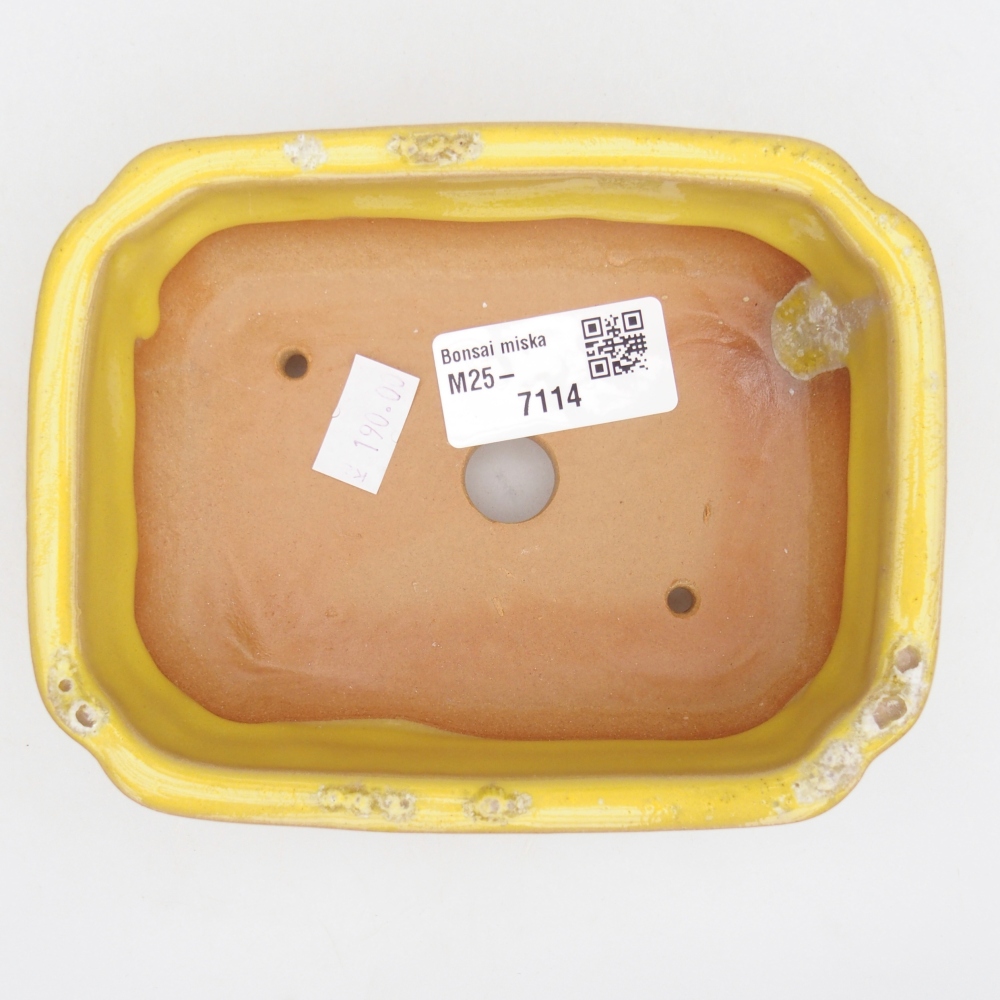 kerámia bonsai tál 14 x 11 x 4 cm, sárga