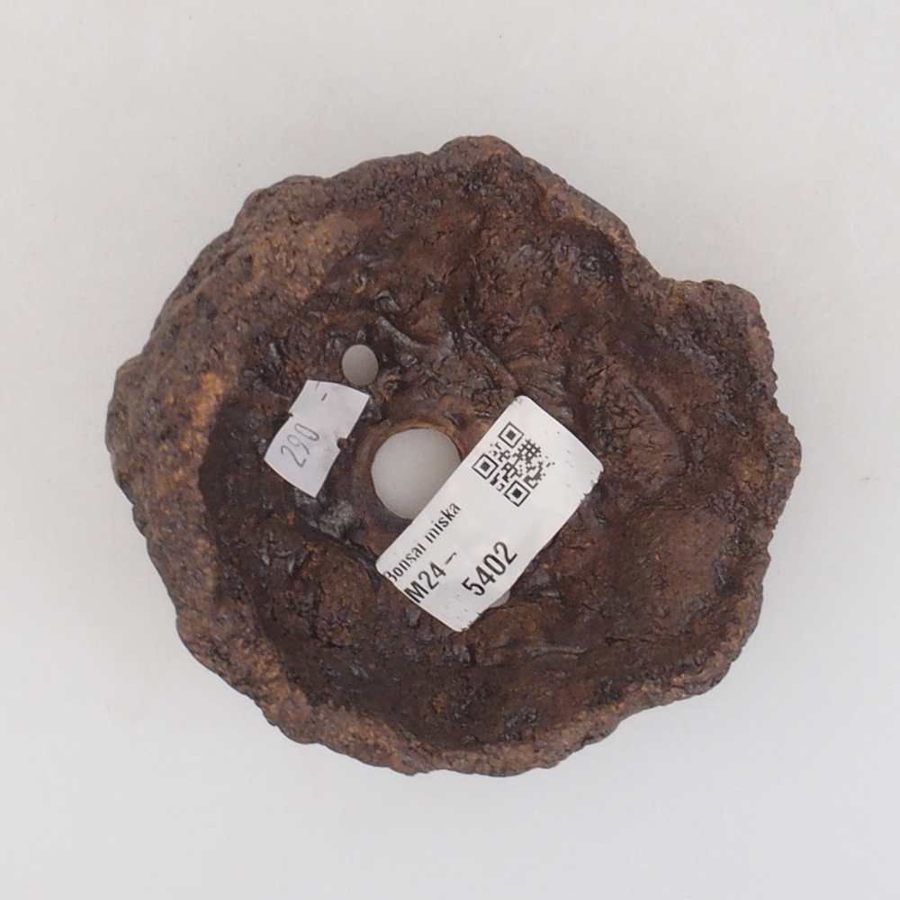 Kerámia kagyló 9 x 8 x 9,5 cm , színe barna